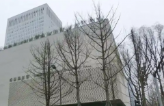 上海师范大学教育学专业成为热门选择就业前景广阔